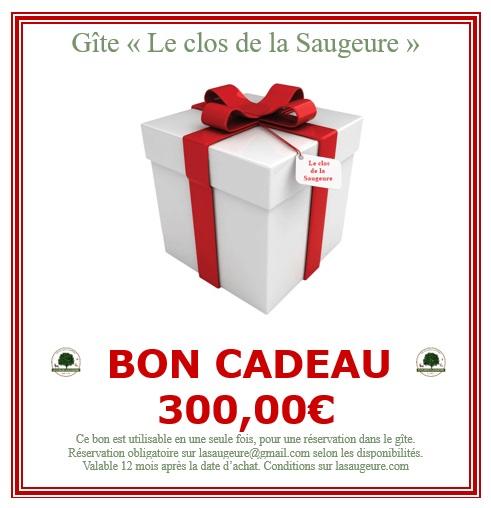 Bon cadeau 300