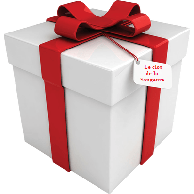 Coffret cadeau blanc ruban rouge inscription