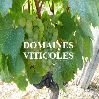 Domaines viticoles 1