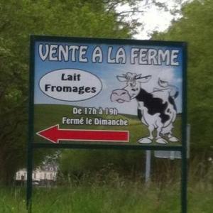 Lait et fromages