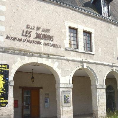 Musee les jacobins 1